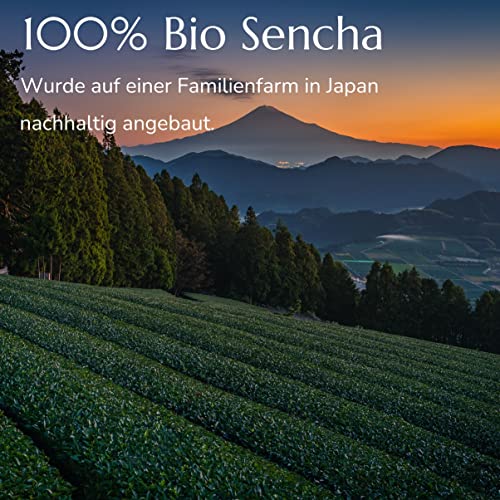Anna's Teapot Sencha Grüntee Bio Beutel - Hochwertiger Bio Japanischer Grüner Tee in Pyramidenbeutel - lose Bio Sencha aus Japan in Teebeutel - einfache Vorbereitung, schmeckt wie aus der Teekanne